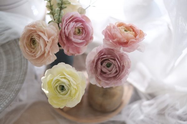 Ranunculus 1